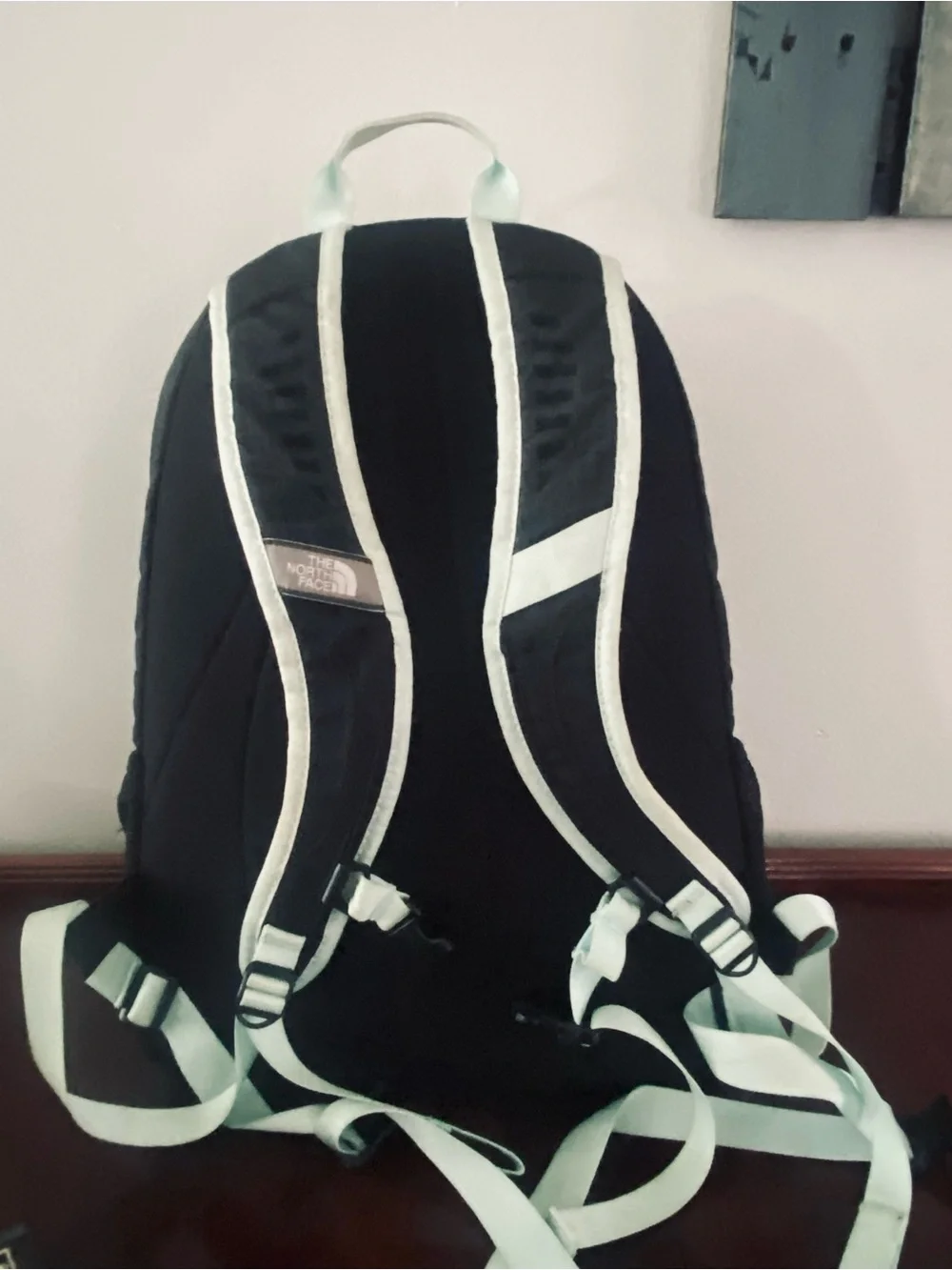 The North Face Black Backpack with Mint Accent Bungee Jester ll